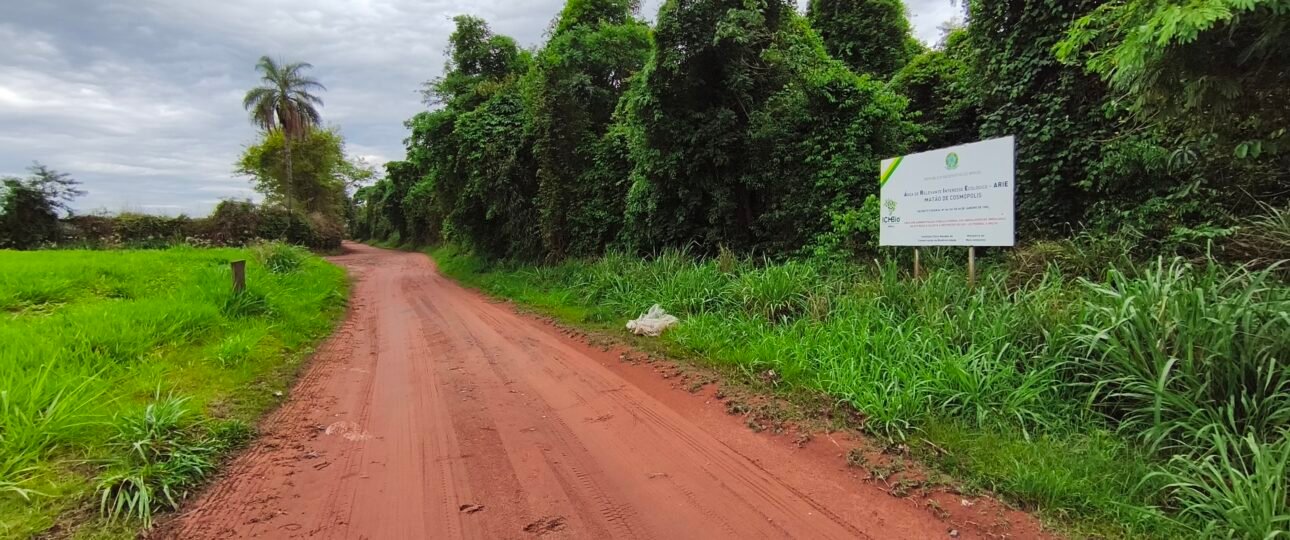 Matão de Cosmopolis