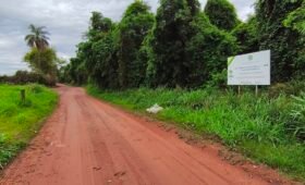 Matão de Cosmopolis